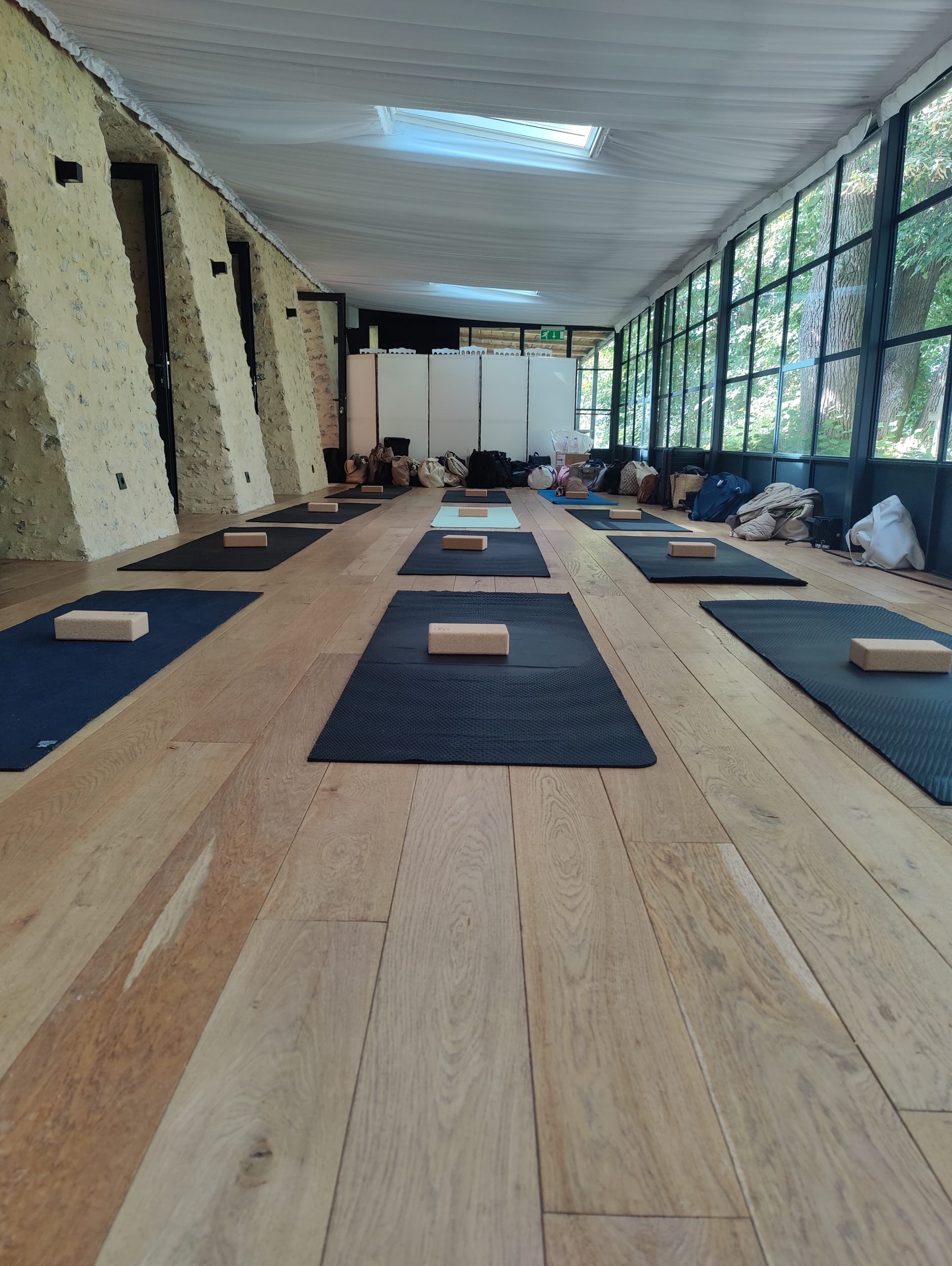 Cours yoga séminaire